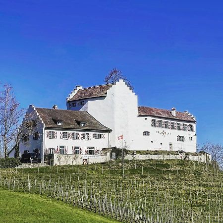 Hotel&Restaurant Schloss Schwandegg Oberstammheim Exterior foto